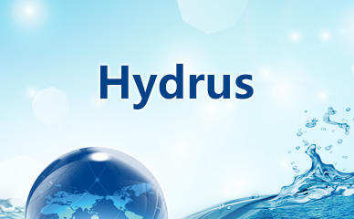 hydrus正版软件报价