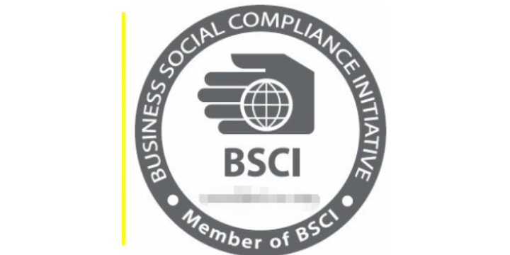 富阳区BSCI咨询电话 宁波博凯企业认证服务供应