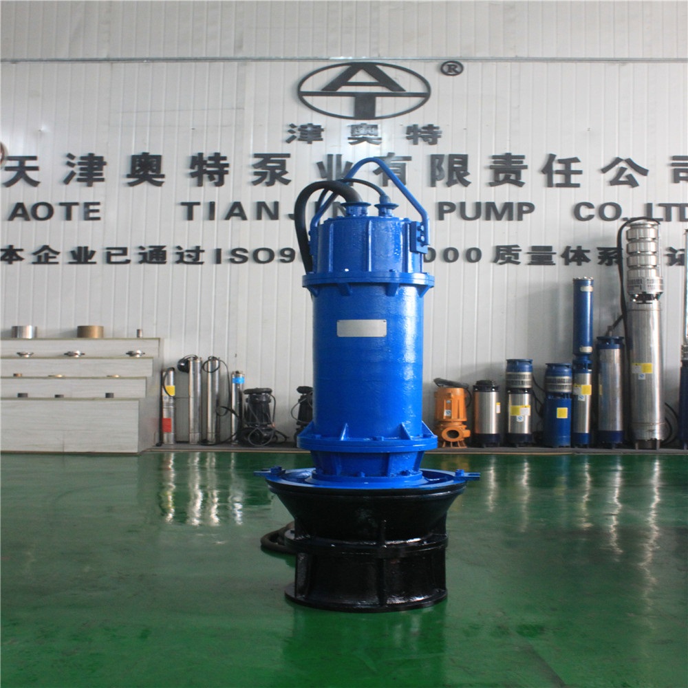 QZB型潜水轴流泵 能大流量抽取水 品牌实力强