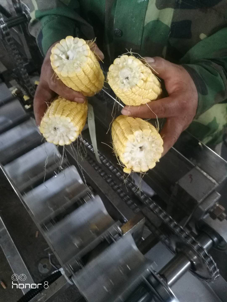 玉米切段机鲜玉米切段机速冻玉米前处理设备