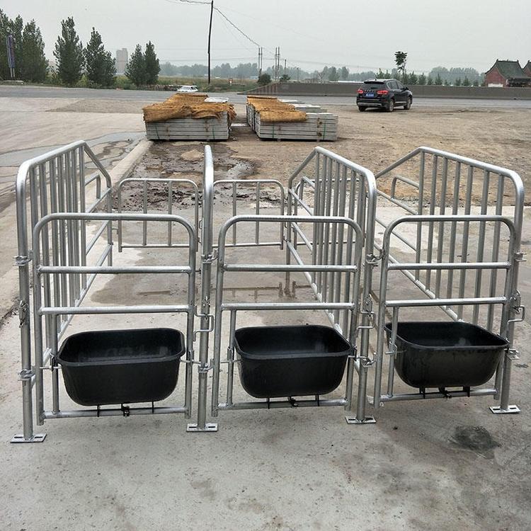供应母猪定位栏热镀锌母猪定位栏猪用定位栏养猪设备
