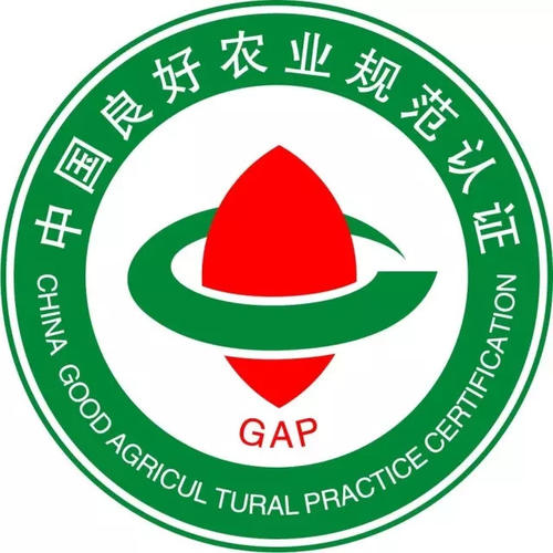 GAP认证咨询，GAP认证企业建立国际水平的职业健康和安全标准