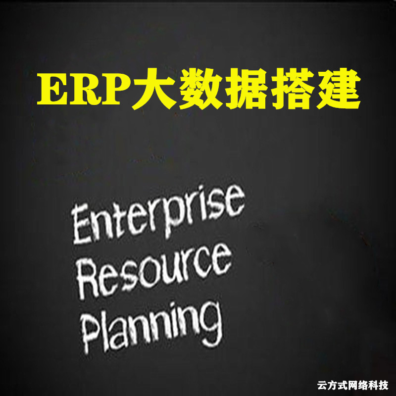 ERP大数据搭建 ERP系统搭建
