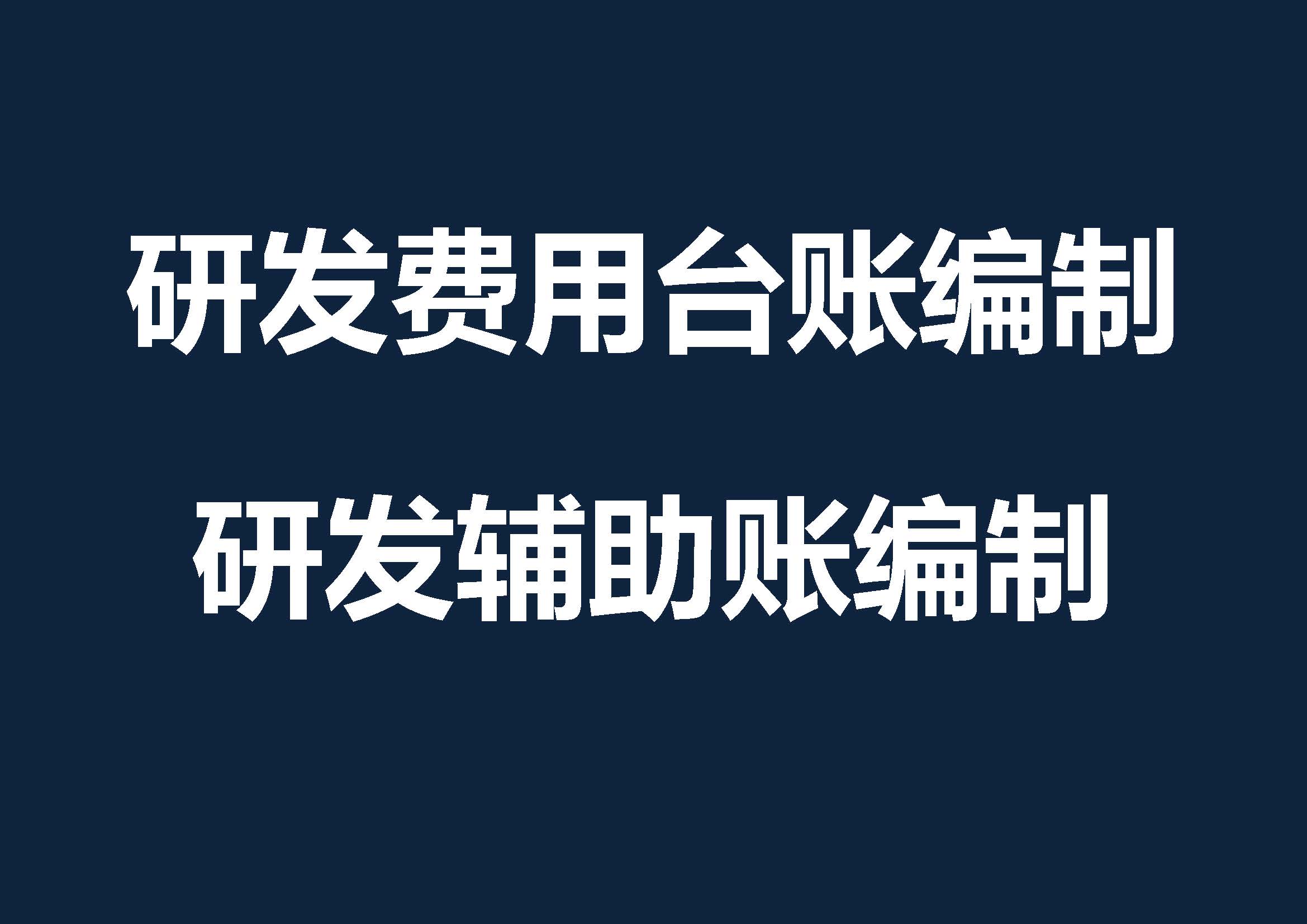 研发费用台账 研发辅助账