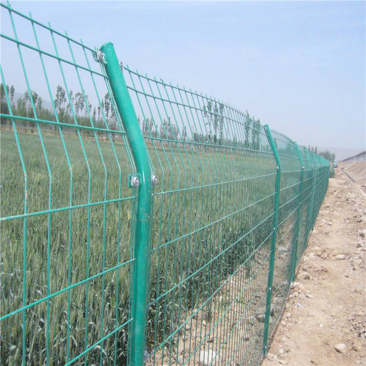 园林花坛装饰防护网 单圈双圈均可定做 菜园围栏网 养殖围栏网 绿化带防护网