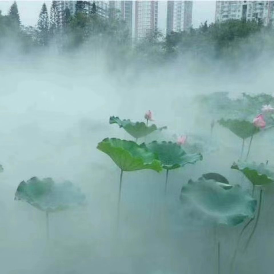 室外园林景区荷花池喷雾机器雾化人造雾雾森系统主机郑州厂家全国安装