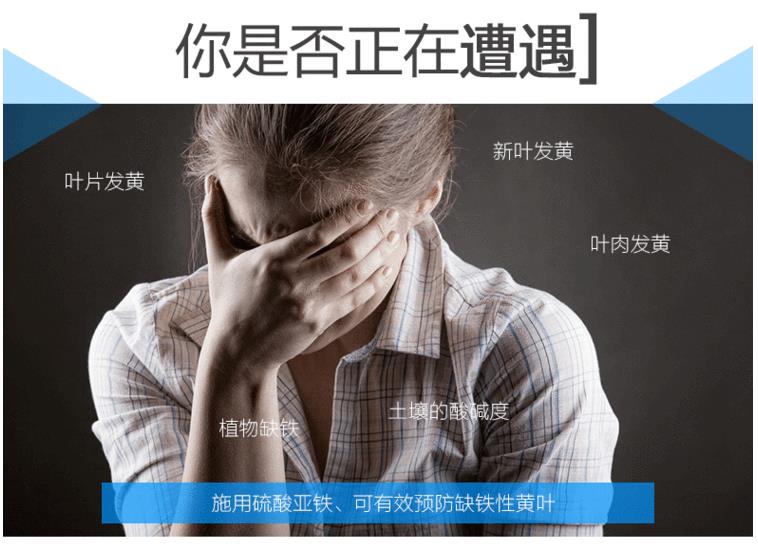 上海硫酸亚铁生产厂家