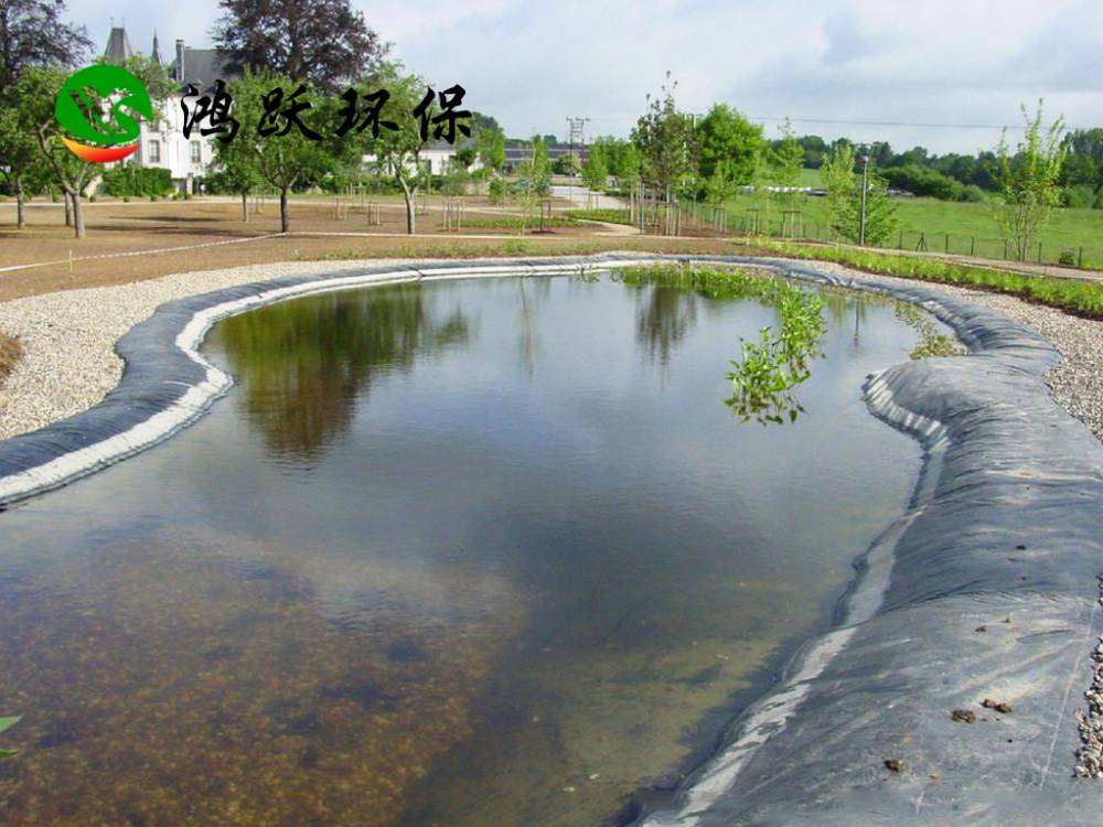 泥鳅养殖用防渗土工膜 专业生产厂家