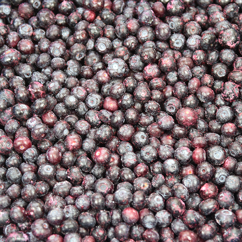 【果香丰】新鲜冷冻蓝莓10kg散装 烘焙奶茶店冰速冻果肉果粒