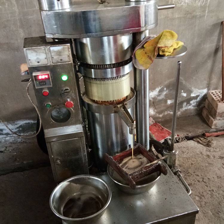 山茶籽液压压油机 大型核桃液压榨油机 韩式芝麻香油机