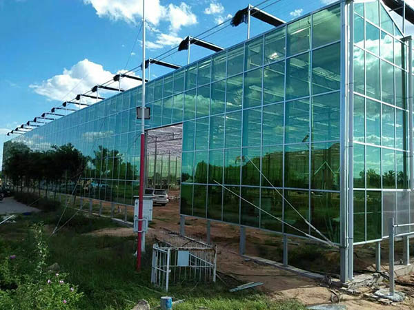 专业承建玻璃温室大棚，玻璃蔬菜大棚，玻璃花卉大棚、玻璃温室，玻璃连栋温室等