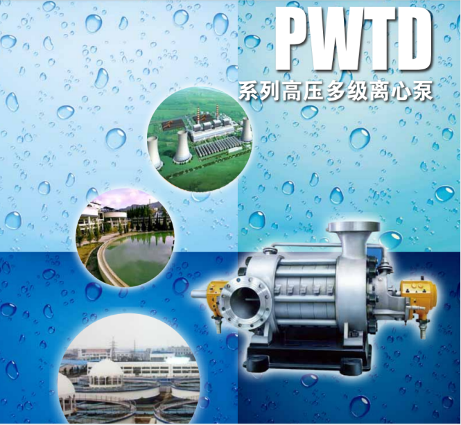 美国滨特尔PWTD多级卧式离心泵工业水处理管线增压油田化工提升泵