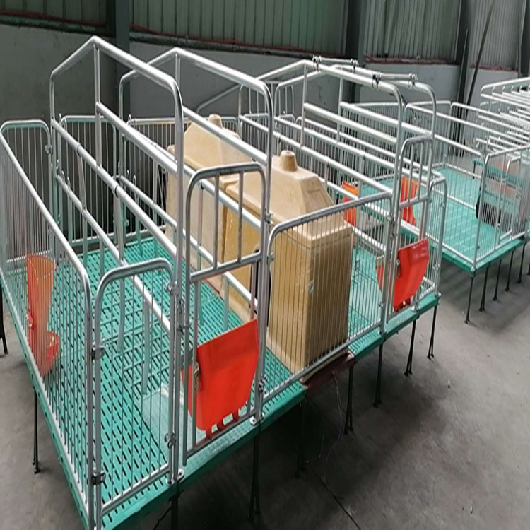 双体母猪保育分娩产床 母猪限位栏定位栏 厂价直销养猪设备