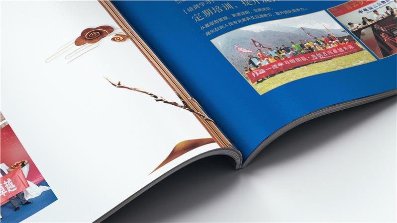 温江名气大的画册设计公司定制