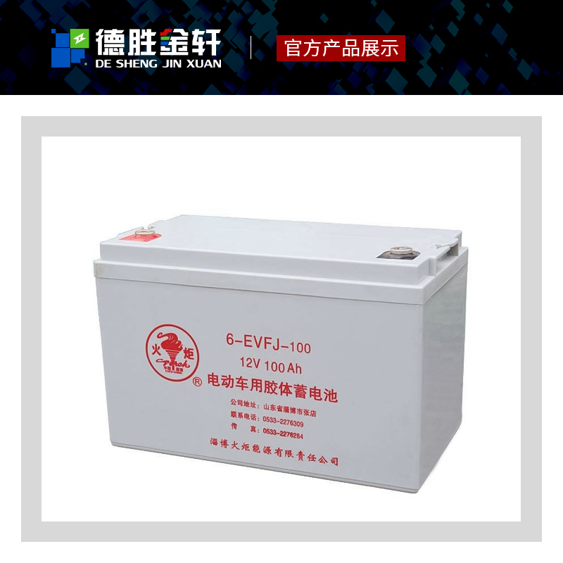 火炬铅酸蓄电池6-EVF-40铅酸应急电源EPS风力发电**设备胶体电瓶组