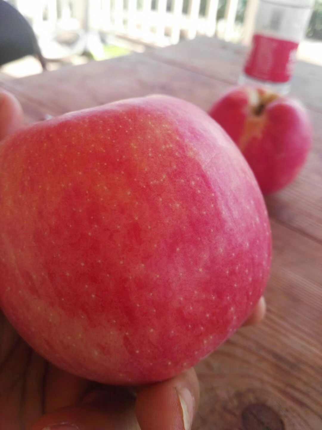 水蜜桃苹果苗基地水蜜桃苹果树技术探讨