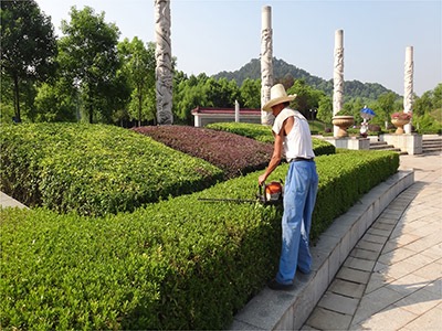 郴州春城園林綠化服務有限公司