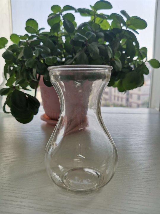 福州玻璃花瓶 按需定制 厂家直销 促销批发