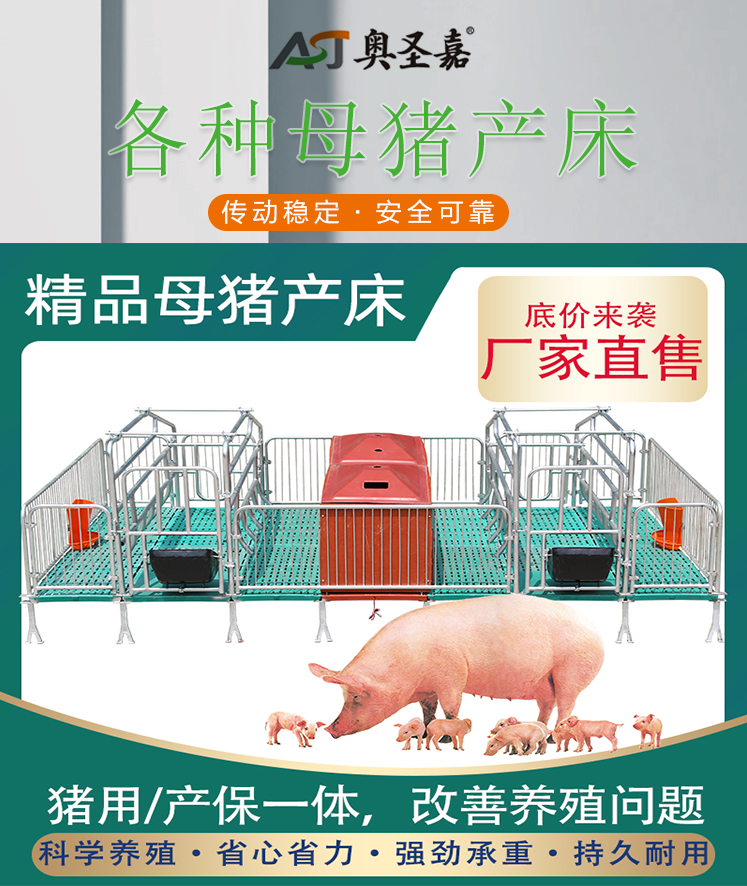 母猪产床双体产床单体产床定位栏产保一体保育复合板猪用养殖设备