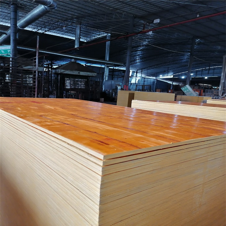 9层工地用的建筑模板 广西贵港市臻楼木业有限公司