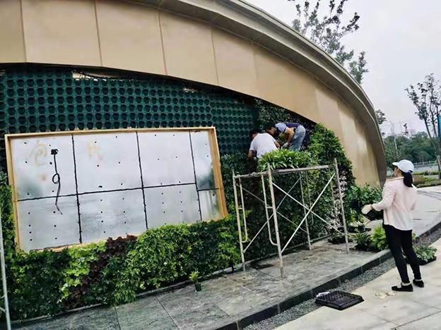 鹰潭植物墙厂家 设计施工维护一体化