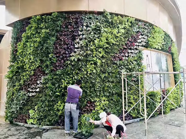 赣州植物墙施工 上门服务 测量尺寸