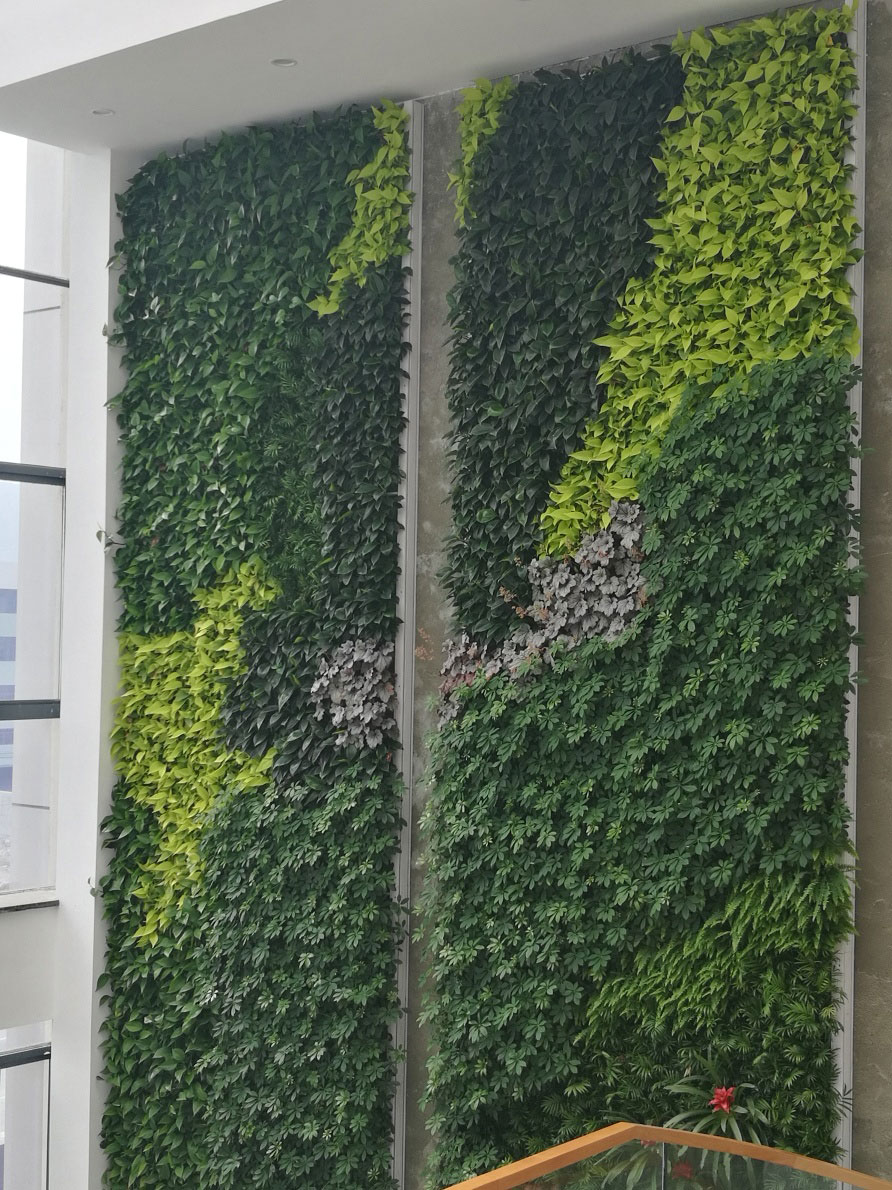 河南植物墙绿化 专业免费设计