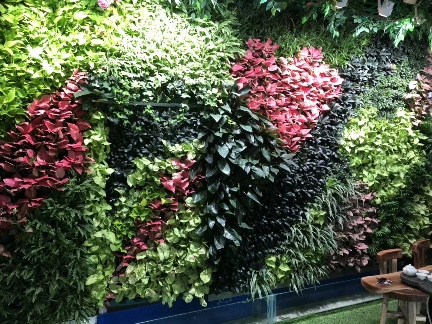 荆州植物墙绿化 设计施工维护一体化