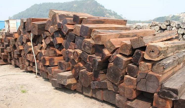 俄罗斯代理木材进口报关清关