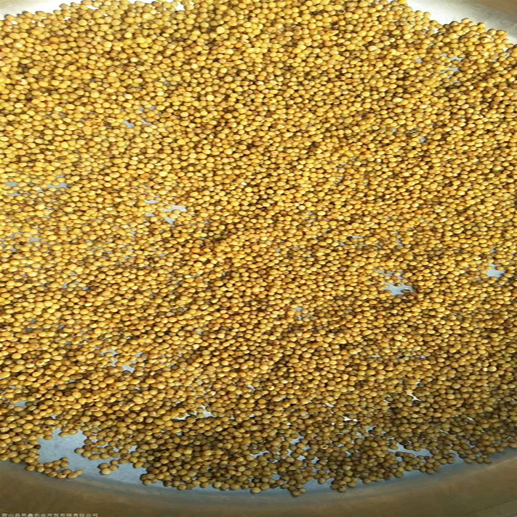 达州黄精种植技术