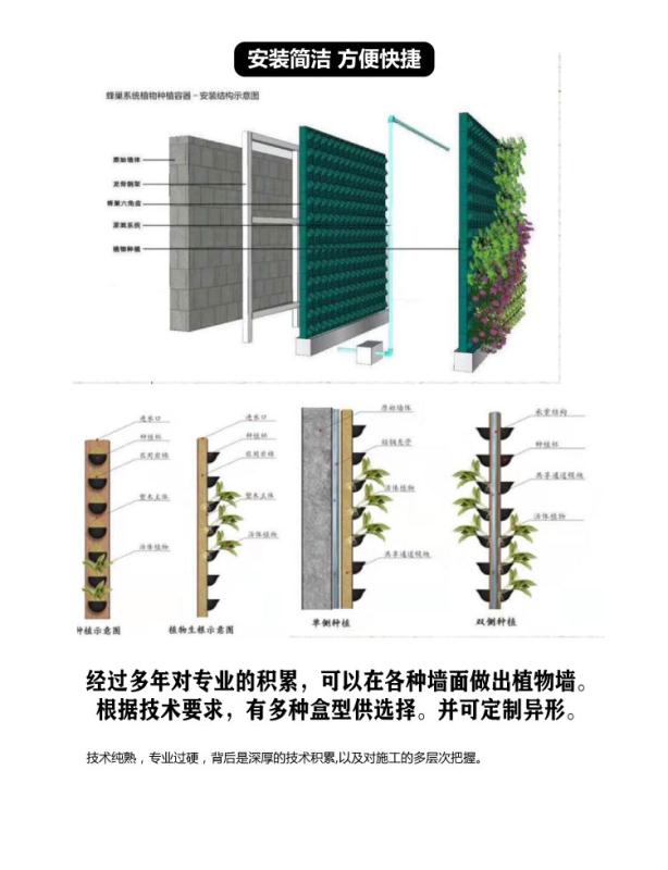 荆州植物墙绿化
