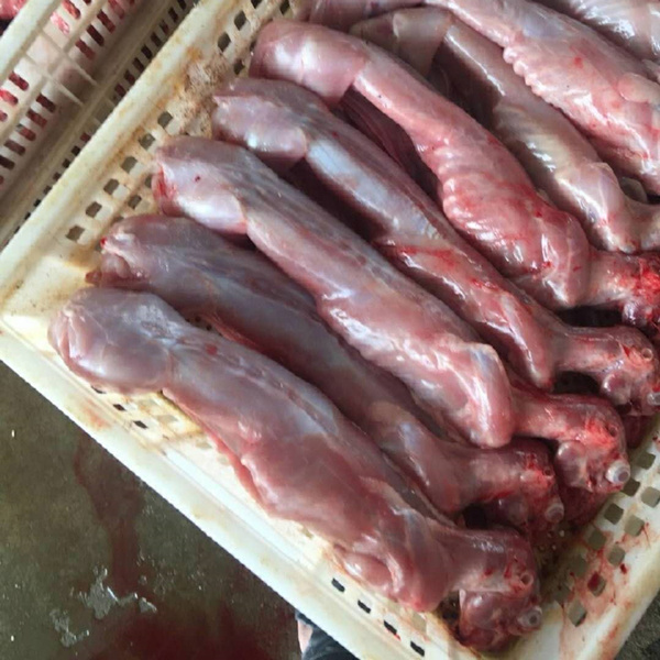 福建福州批发兔肉兔杂 兔头 厂家直销