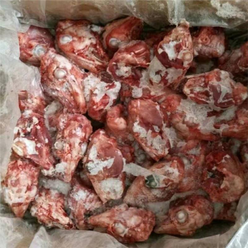 廣西欽州批發兔肉兔雜