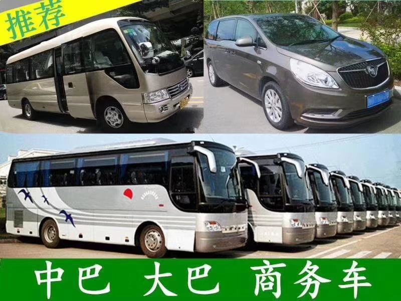 青岛7座GL8奔驰商务丰田埃尔法包车租赁