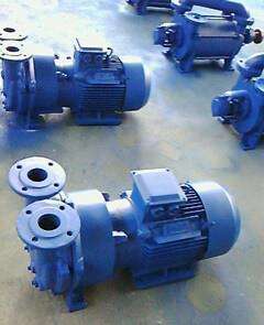 齿轮油泵2BV-5131水环式真空泵*高温泵厂