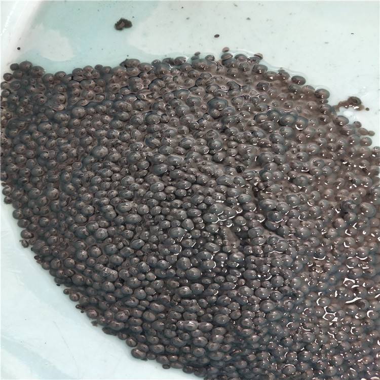 常州碧润诚颗粒污泥 价格多少 活性高沉降快 优质颗粒泥