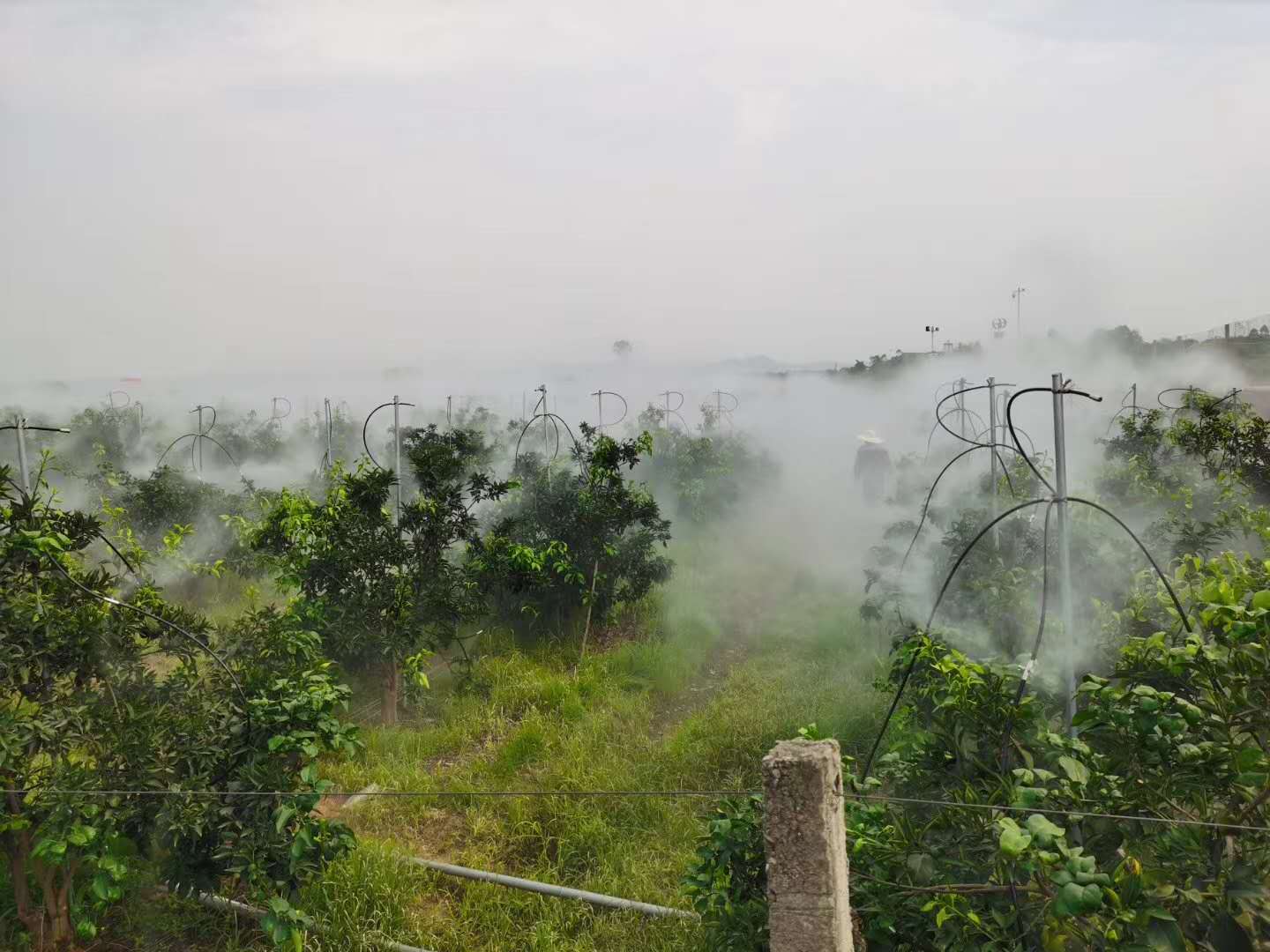 鑫奥喷雾高能微雾设备XA40L绿化景观喷雾**