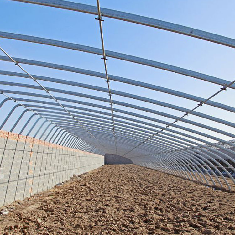 简易节能日光温室 暖棚 塑料大棚 农业种植薄膜拱棚