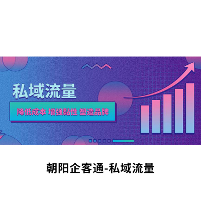 电商私域流量_朝阳科技_服务公司推荐_服务排名有榜样