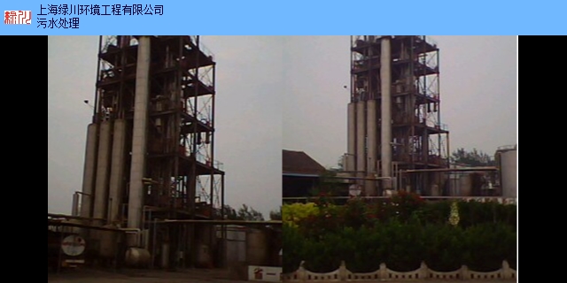 山东C18生物柴油设备 推荐咨询 上海绿川环境工程供应