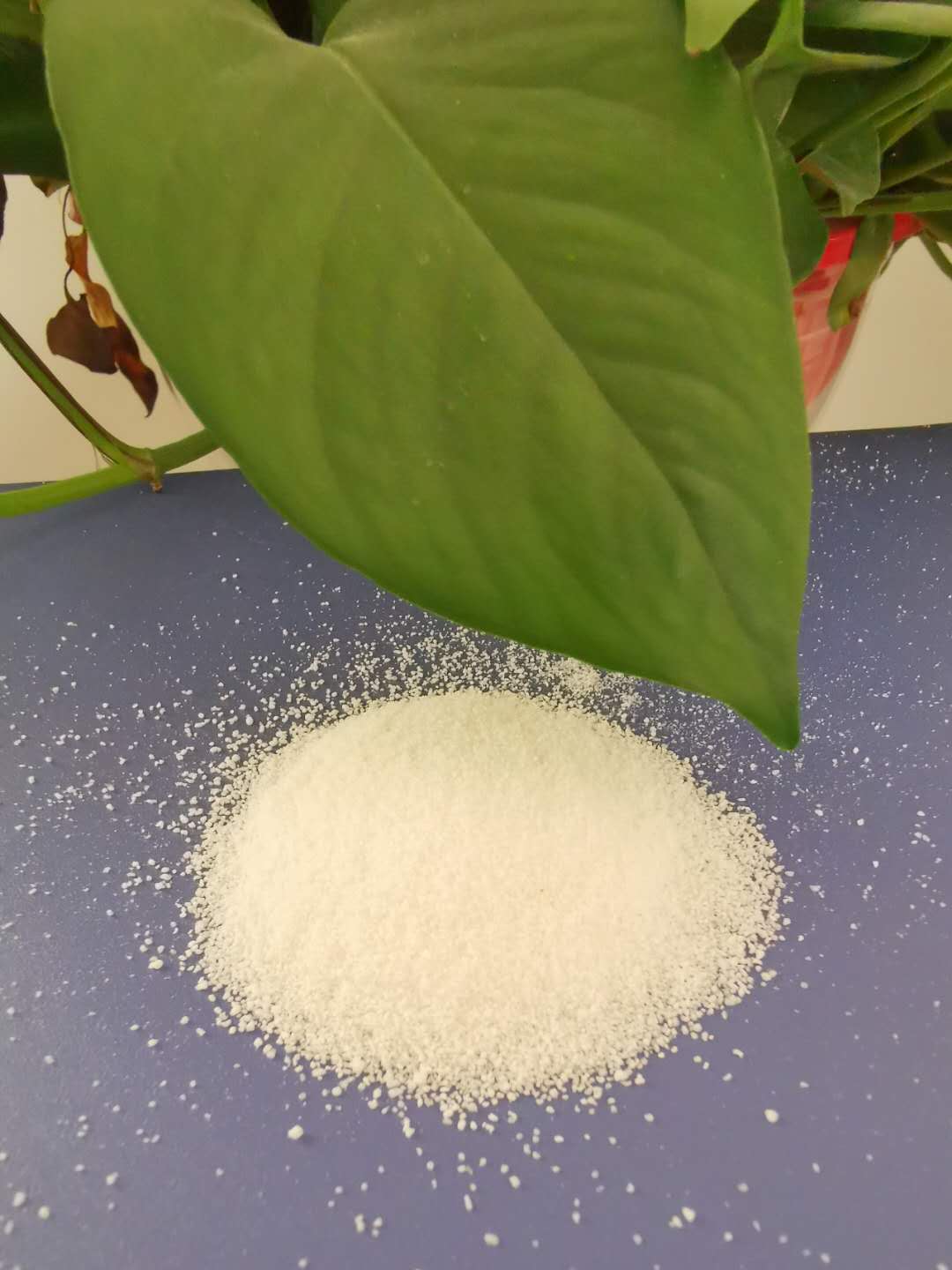 闭孔珍珠岩厂家直销