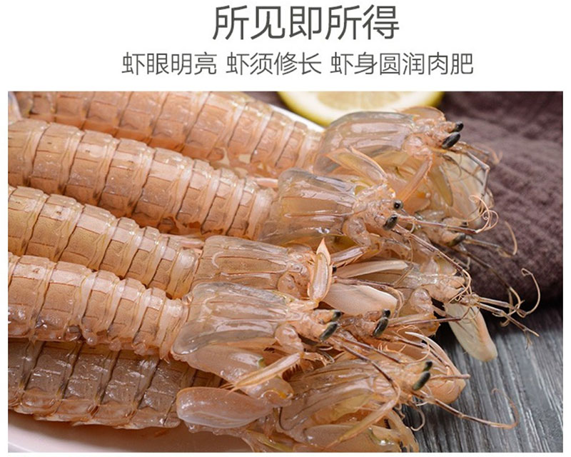 梧州濑尿虾供应商