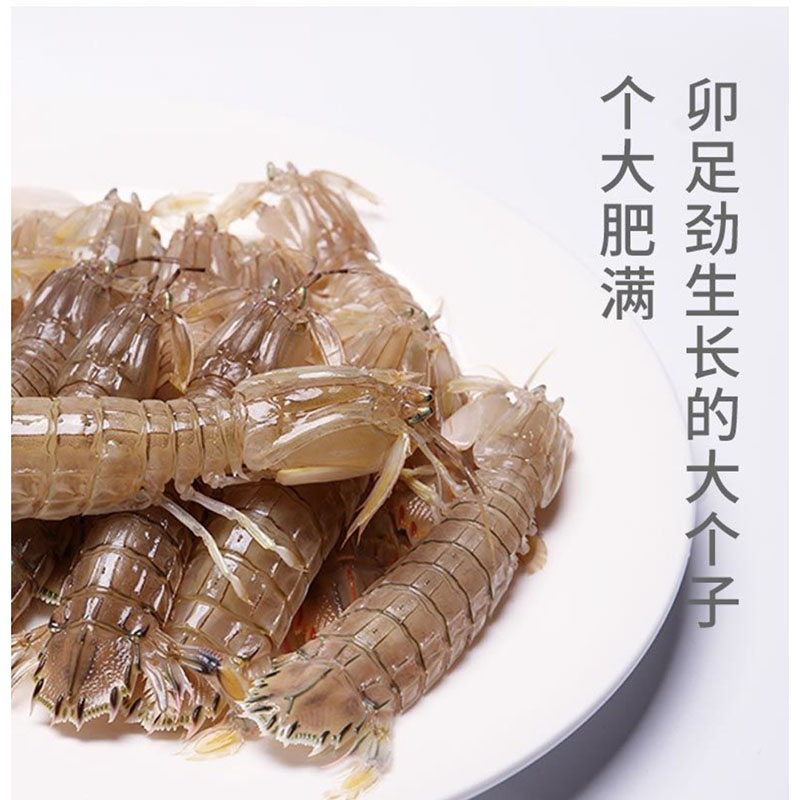 冷冻皮皮虾供应商 濑尿虾 营养丰富