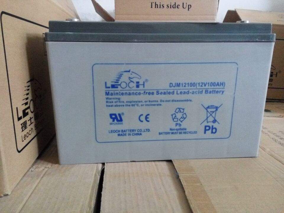 咸宁LEOCH蓄电池 DJ500 原装进口