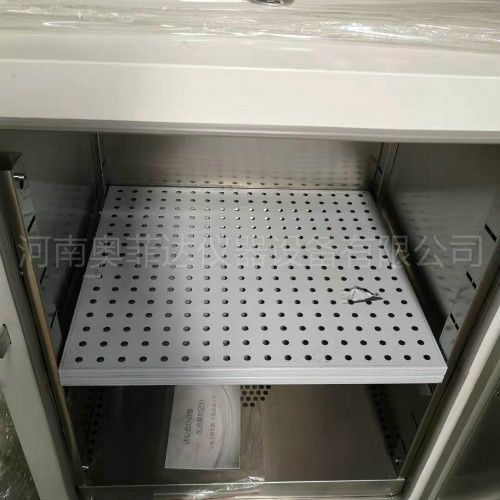 电热恒温鼓风干燥箱 天津恒温干燥箱服务周到 精心设计
