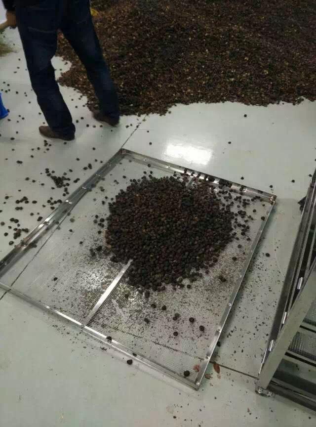 自贡油茶籽烘干机网