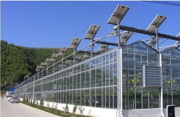 弘康 光伏太阳能温室大棚 新型环保大棚