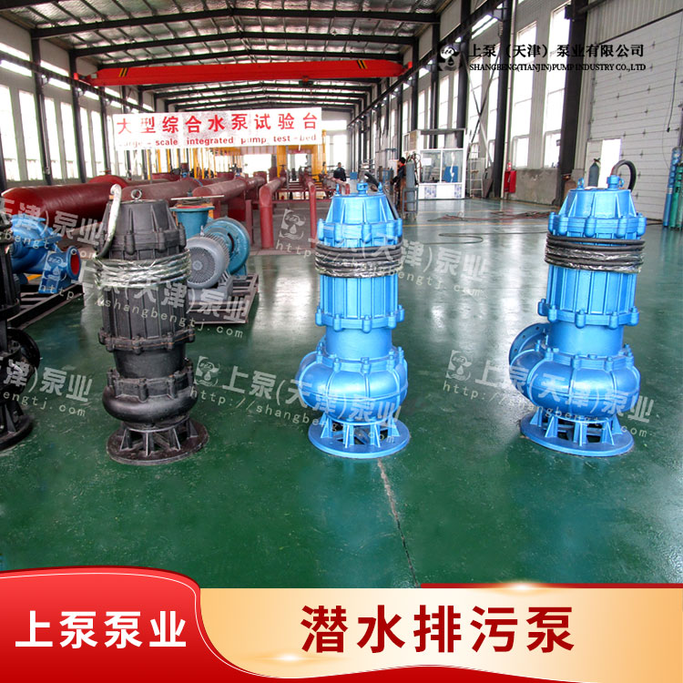专业生产污水泵型号厂家-价格-天津上泵泵业集团
