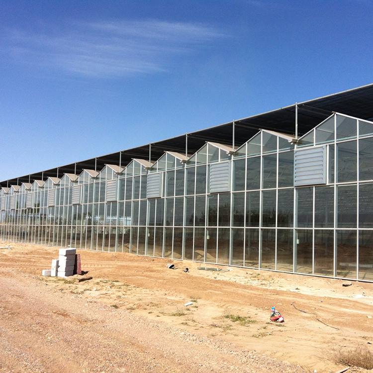 玻璃温室 文洛温室 智慧农业 蔬菜大棚种植