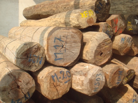 沙田港橡膠木板材報關公司-木材商檢報關服務